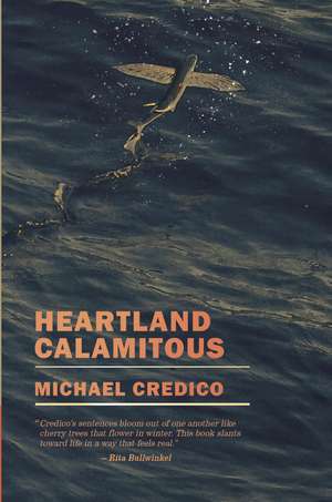 Heartland Calamitous de Michael Credico