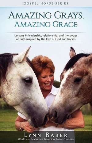 Amazing Grays, Amazing Grace de Lynn Baber