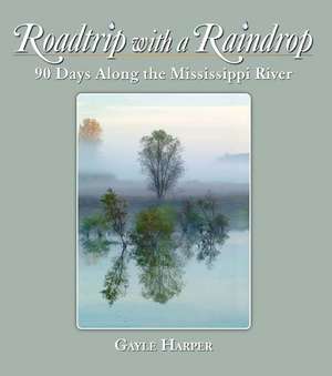 Roadtrip with a Raindrop de Gayle Harper