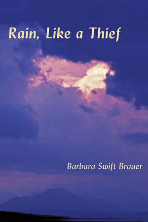 Rain, Like a Thief de Barbara Swift Brauer