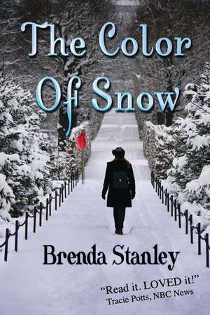 The Color of Snow de Brenda Stanley