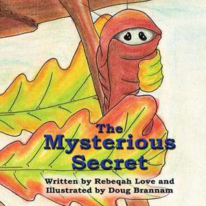 The Mysterious Secret