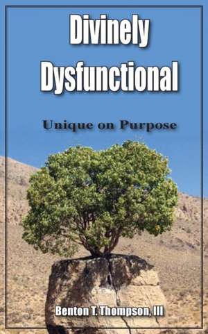Divinely Dysfunctional de Benton T. III Thompson