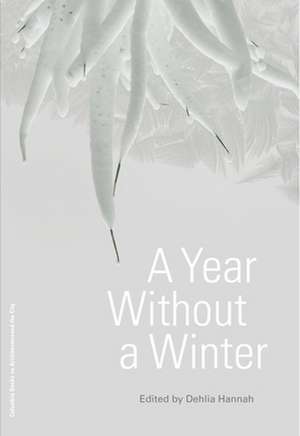 A Year Without a Winter de Dehlia Hannah