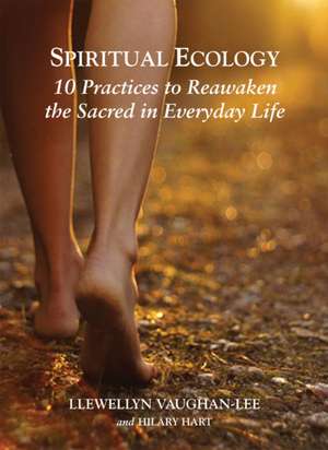 Spiritual Ecology: 10 Practices to Reawaken the Sacred in Everyday Life de Llewellyn Vaughan-Lee