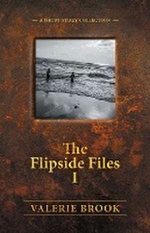 The Flipside Files I de V. J. Brook