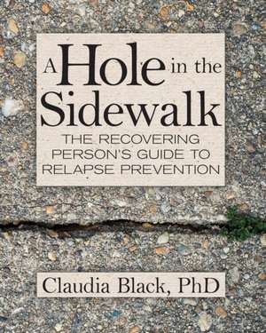 A Hole in the Sidewalk de Claudia Black