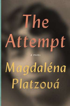 The Attempt de Magdalena Platzova