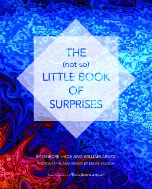 The (not so) Little Book of Surprises de William Arntz