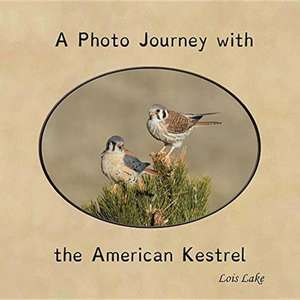 A Photo Journey with the American Kestrel de Lois Lake