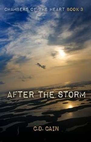 After the Storm de C. D. Cain