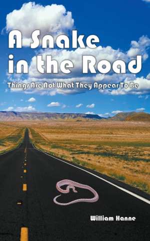 A Snake in the Road de William G. Hanne