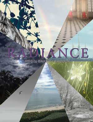 Radiance: Worth Reimagined de Robin Baker Leacock