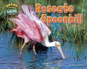 Roseate Spoonbill de Ellen Lawrence