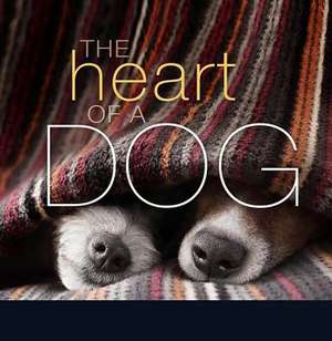 The Heart of a Dog de Liz Abeler Blaylock