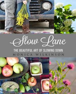 Slow Lane de Monica Wilkinson