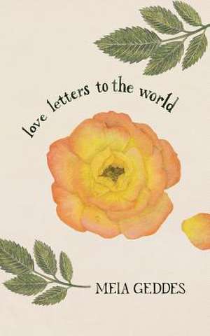 Love Letters to the World de Meia Geddes