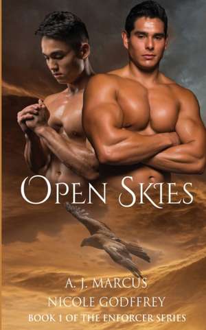 Open Skies de A. J. Marcus