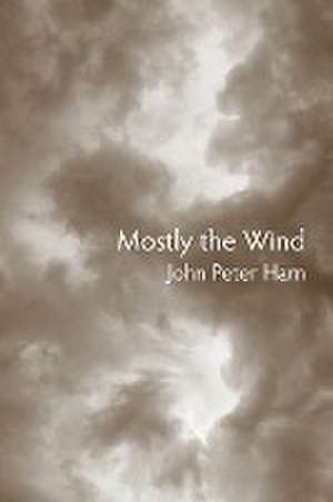 Mostly the Wind de John Peter Harn