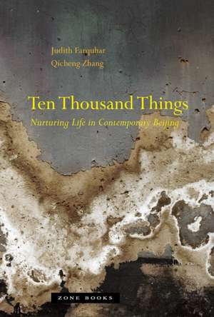 Ten Thousand Things de Judith Farquhar