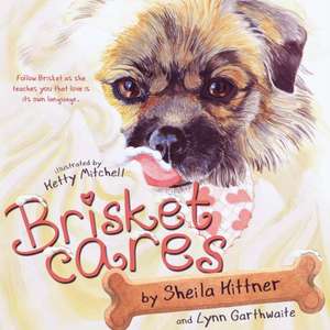 Brisket Cares de Sheila Hittner