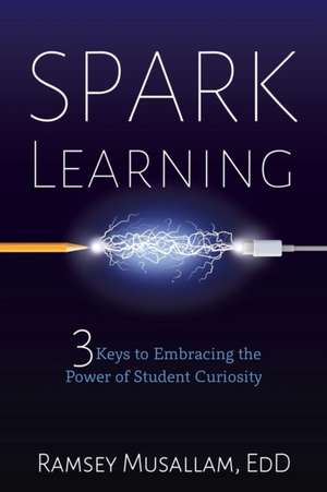 Spark Learning de Ramsey Musallam