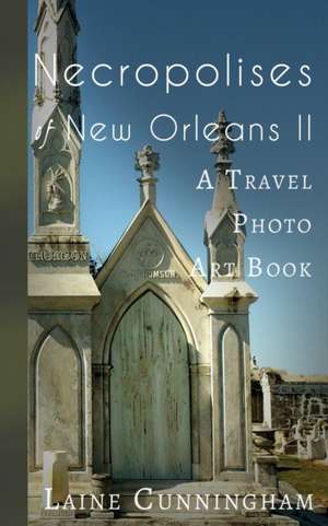 More Necropolises of New Orleans (Book II): Cemetery Cities de Laine Cunningham