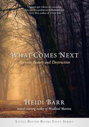 What Comes Next de Heidi Barr