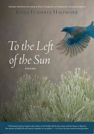 To the Left of the Sun de Linda Flaherty Haltmaier