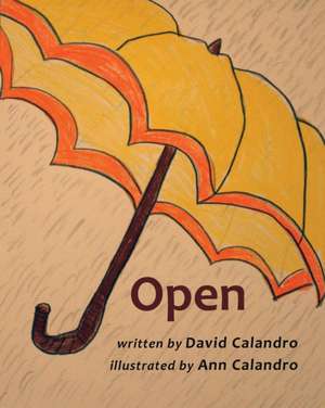 Open de David Calandro