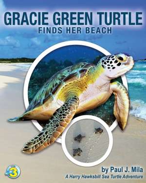 Gracie Green Turtle Finds Her Beach de Paul J Mila