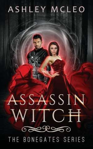 Assassin Witch de Ashley McLeo