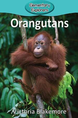 Orangutans de Victoria Blakemore