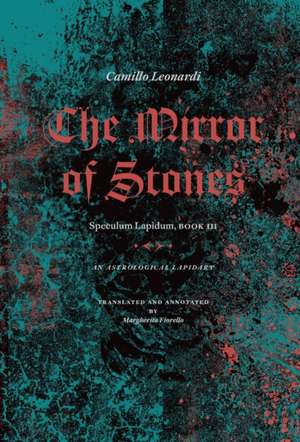 The Mirror of Stones de Camillo Leonardi