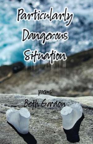 Particularly Dangerous Situation de Beth Gordon