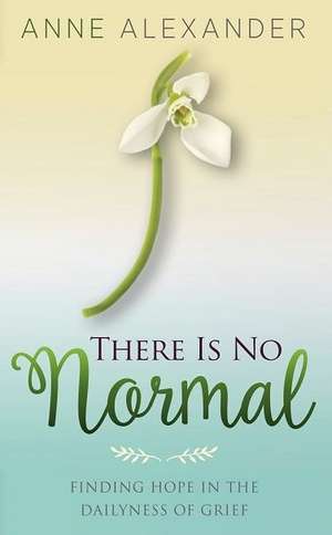 There Is No Normal: Finding Hope in the Dailyness of Grief de Anne Alexander