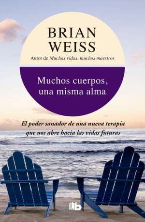 Muchos Cuerpos, Una Misma Alma / Same Soul, Many Bodies de Brian Weiss