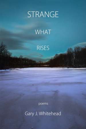 Strange What Rises de Gary J. Whitehead