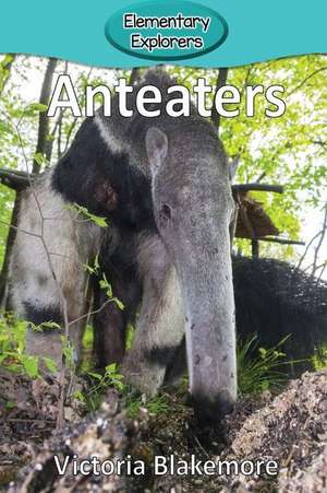 Anteaters de Victoria Blakemore