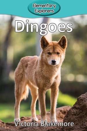 Dingoes de Victoria Blakemore