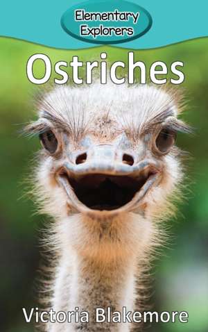 Ostriches de Victoria Blakemore