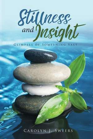 Stillness and Insight: Glimpses of Something Vast de Carolyn J. Sweers