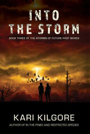 Into the Storm de Kari Kilgore