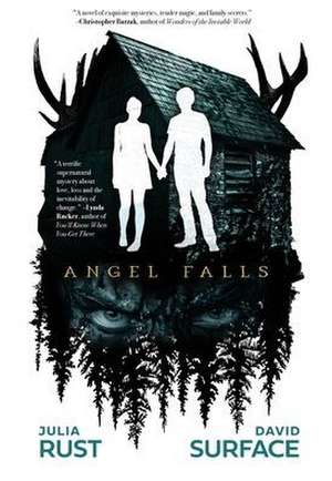 Angel Falls de Julia Rust