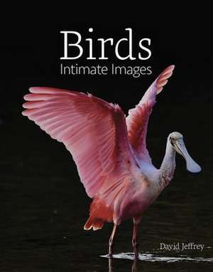 Birds: Intimate Images de David Jeffrey