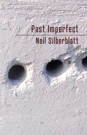 Past Imperfect de Neil Silberblatt