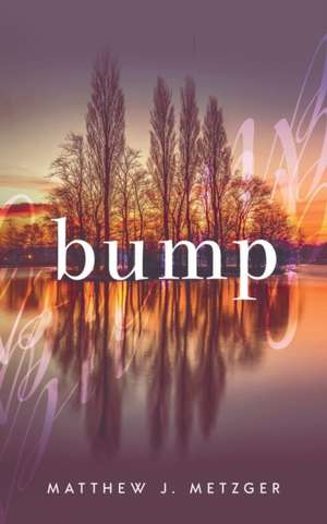 Bump de Matthew J. Metzger