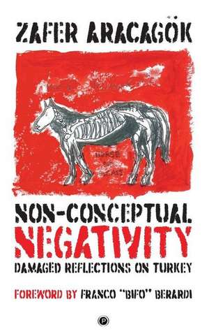 Non-Conceptual Negativity: Damaged Reflections on Turkey de Zafer Aracagok