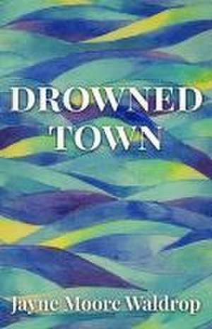 Drowned Town de Jayne Moore Waldrop