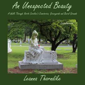 An Unexpected Beauty de Leanna Thorndike